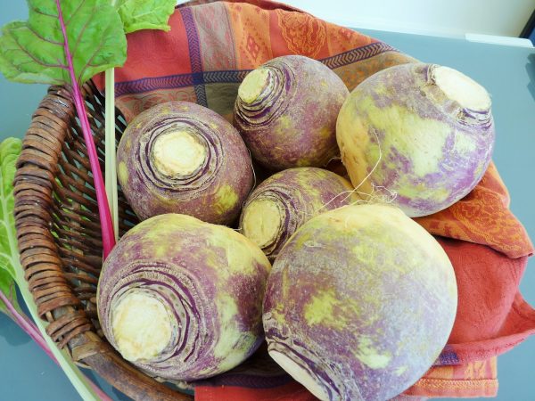 Pestovanie a starostlivosť o rutabaga