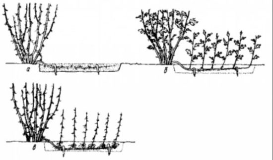 Horizontálne vrstvenie